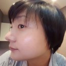 플레인의원