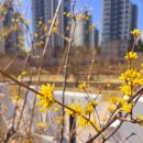 정관아이숲유치원 이미지