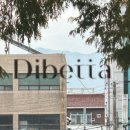 디배따(DIBETTA)