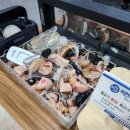 스타키보청기 용인난청센터 이미지