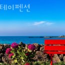 광양사거리/터미널방면 (탐라장애인 종합복지관방면) | 제주도펜션 엠스테이펜션 제주도여행 저렴하게 즐길 수 있는 숙소추천