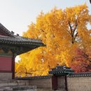 명륜당