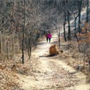 봉산약수터 이미지