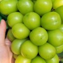 양감농장 이미지