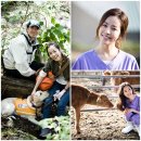 행복이 있는 동물병원 이미지