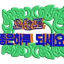 산야초발효액요법~효소 담그는법 이미지