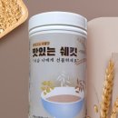 지그미선물
