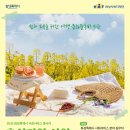 재단법인 산림힐링재단 | [사회복지재단] 사회서비스 종사자를 위한 '힐링 UP'