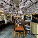 청라휴먼시아401동앞 | [청라맛집] 스시카츠 점심 외식 후기 🍣