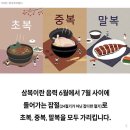 오늘은 "중복" 입니다. [2024년 7월 25일(음:6월 20일)일출 5시 30분.일몰20시47분] 이미지