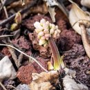 고원아파트 이미지