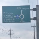 선산 전지작업 후 전주로~ 이미지