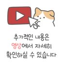 고양이 행복구역 이미지