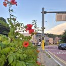 능곡파출소 | 너무 맛있어서 재방문한 경복궁삼계탕 시흥능곡점에서 말복 보내기(내돈내산 맛집 추천)