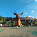 석정사슴 이미지