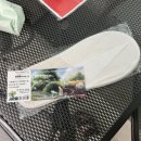 하울림 | 팀보타 하울림아림의시간 | 서울숲팀보타하울림 전시 내돈내산 후기