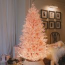 핑크트리 이미지