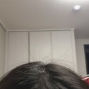 까까머리.cut | 모까매 맥주효모환 내머리카락 돌려줘 부탁해