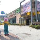 신토오리 이미지