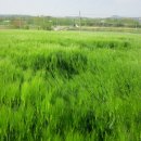 밀 모텔 이미지