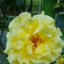 창의력쑥쑥 재밌는 책읽기 이미지