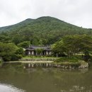 의신주조장 네이버블로그