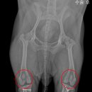 청송동물병원 이미지