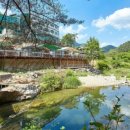 댕댕이계곡펜션 이미지