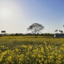 세도농장 네이버블로그