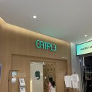 캣플 동탄점 이미지