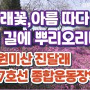 서울근교 부천 7호선 종합운동장역 원미 산진달래 만발 이미지