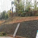 수목산업 이미지