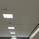 플로리아 | 서울 여의도 전시회 산리오 호텔 플로리아 후기 평일 웨이팅