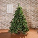 열매유치원 이미지