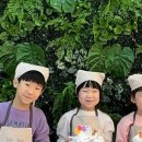 드포레스트_