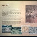 동삼동패총전시관 이미지