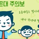 비바라떼 이미지