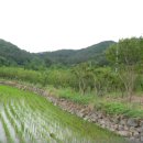 구산면518 이미지