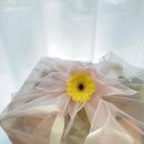 스윗푸릇 이미지