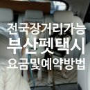 해운대 펫택시 이미지