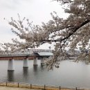 금호강변공원 화장실 이미지