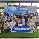 삼각태권도 이미지