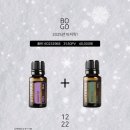 라벤더코지 이미지