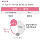 네일:화담 이미지
