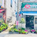 다솜화원