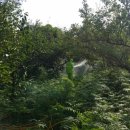 규식농장 이미지