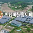 의성마늘황토메기영어조합