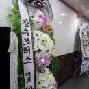 봉암동011 이미지