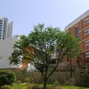 신당인덕3로-10 이미지