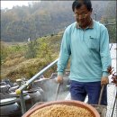 남궁농원 이미지